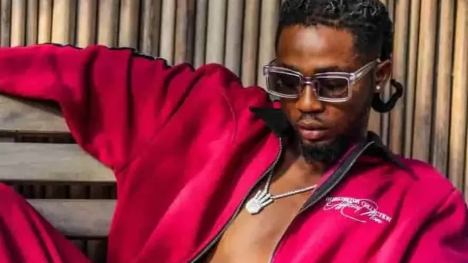 Omah Lay – Successful