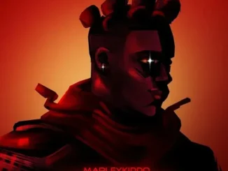 Marleykiddo – Wellsfargo