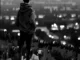Elmah – New Boy In Town