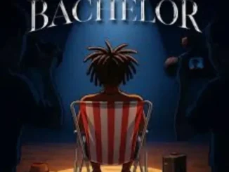 Shadykarz – Bachelor (High & Fast)