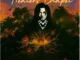 Wizard Chan – Healer’s Chapel (Album)