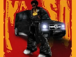 Shallipopi – Na So