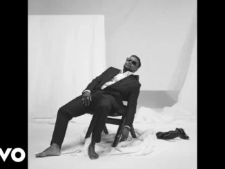 Nyashinski – P.I.C. (Partner In Crime)