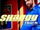 Shaggy – It Wasn’t Me