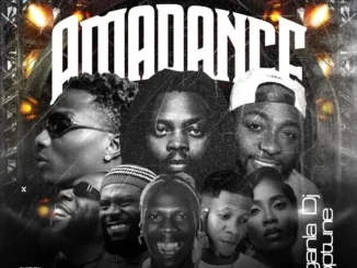 Oganla Dj Toptune – Amadance Vol. 1 Mixtape