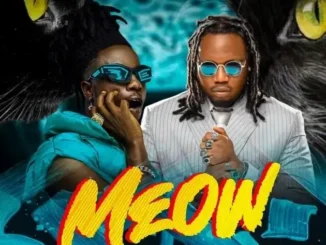 Scope – Meow (Speed Up) ft. Qdot