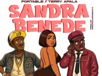 Portable & Terry Apala – Sandra Benede