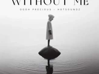 Ogoh Precious feat. Hotsoundz – Without Me