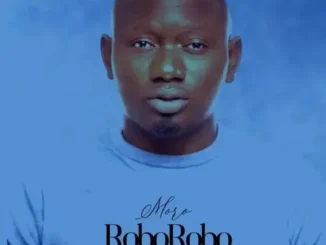 Segun Johnson – Moro Roborobo