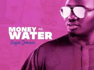 Segun Johnson – Money Na Water
