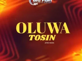 DJ Fish – OluwaTosin (Afro Mara)