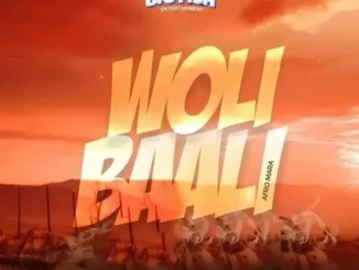 DJ Fish – Woli Baali (Afro Mara)