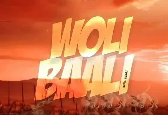 DJ Fish – Woli Baali (Afro Mara)