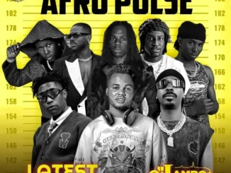 Dj Lambo – Afro Pulse Mixtape