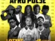 Dj Lambo – Afro Pulse Mixtape