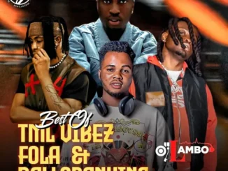 Dj Lambo – Best Of Tml Vibez x Fola & Balloranking Mixtape