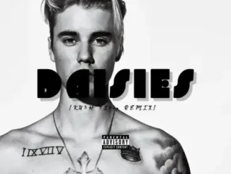 DJ Kush & Justin Bieber – Daisies (KU3H 3Step Remix)