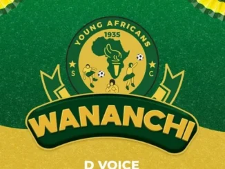 D Voice – Wananchi