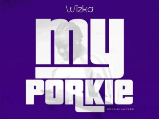 Wizka – My Porkie