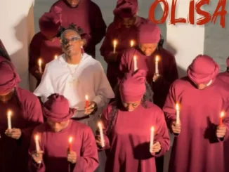 DennyB – OLISA
