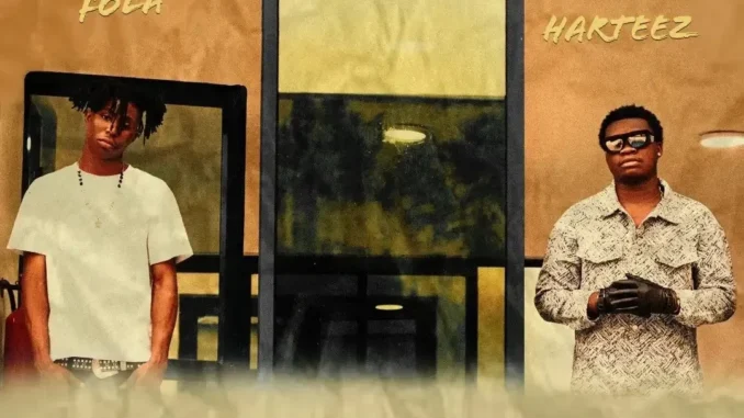 FOLA feat. Harteez – Money Chaser