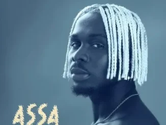 Moonlight Afriqa – Assa