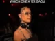 Drake – Which One x 1Er Gaou (DJ Noon Remix)