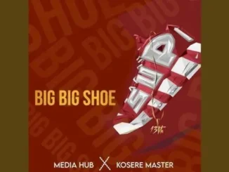 Media hub – Big Big Shoe