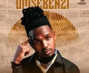 MusiholiQ – Umsebenzi