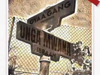 Ibraah – Unga Mwana