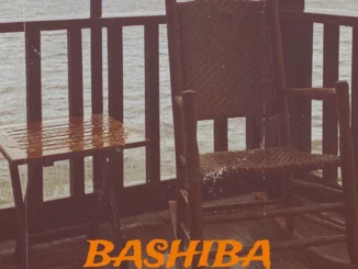 Dj Damlex Soundit – Bashiba Beat