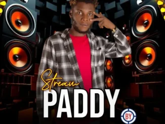 Emergency – Paddy