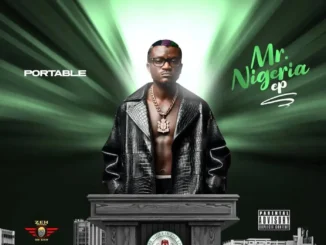 Portable – Seyi Vodi