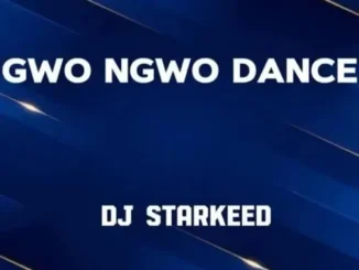 DJ Starkeed – Gwo Ngwo Dance
