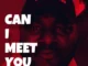 Professional Beat – Can I Meet You