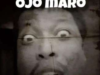 Professional Beat – Ojo Maro (Apankunfor Voice)