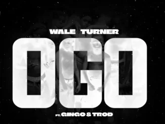 Wale Turner – Ogo feat. Gingo & Trod