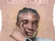 Sparkle Tee – Obodo Oyibo