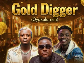 Gold Digger (Oyokulumeh)