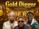 Gold Digger (Oyokulumeh)