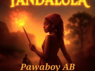 PawaBoy – Yandalula