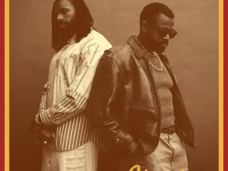 The Cavemen. – Chameleon