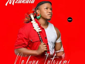 Mzukulu – Firefighter Ft. Shisamabhodwe