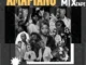 DJ Twise – Amapiano 2024 Mixtape, Vol.1
