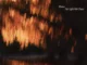 Bloom – The Light We Chase (Album)
