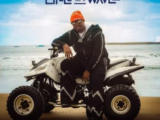 Dandizzy – Life of A Wave (Album)