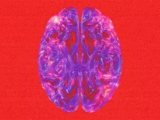 Fireboy DML – Dopamine