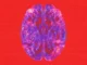 Fireboy DML – Dopamine