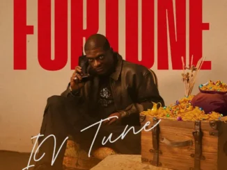 IV Tune – Fortune EP