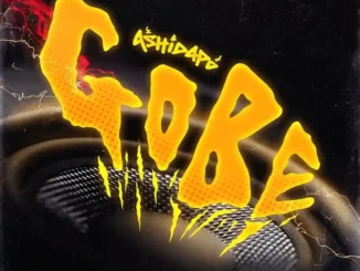 Ashidapo – Gobe